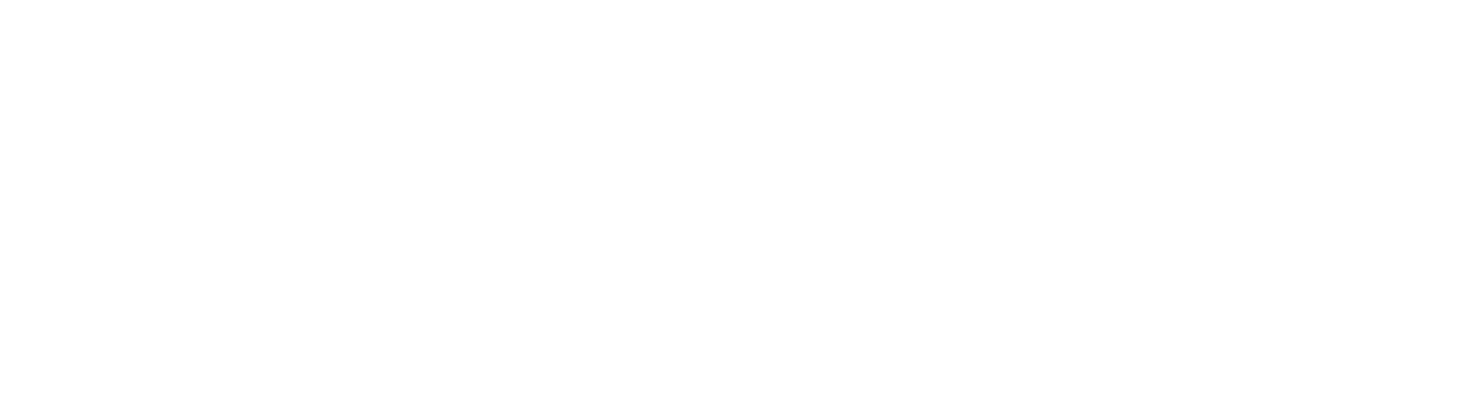 DataTeam
